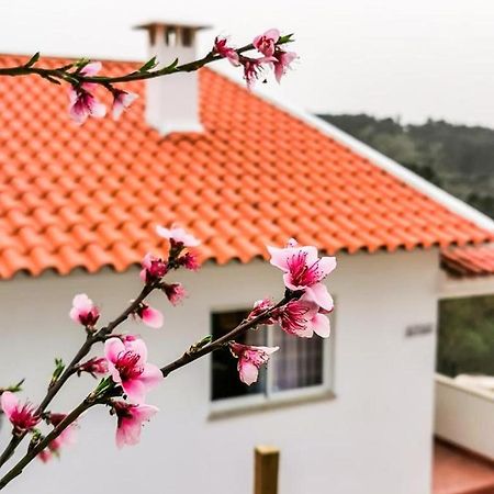 Villa O Refúgio Coímbra Exterior foto
