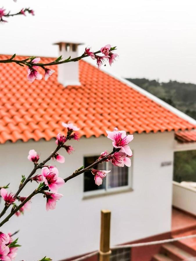 Villa O Refúgio Coímbra Exterior foto